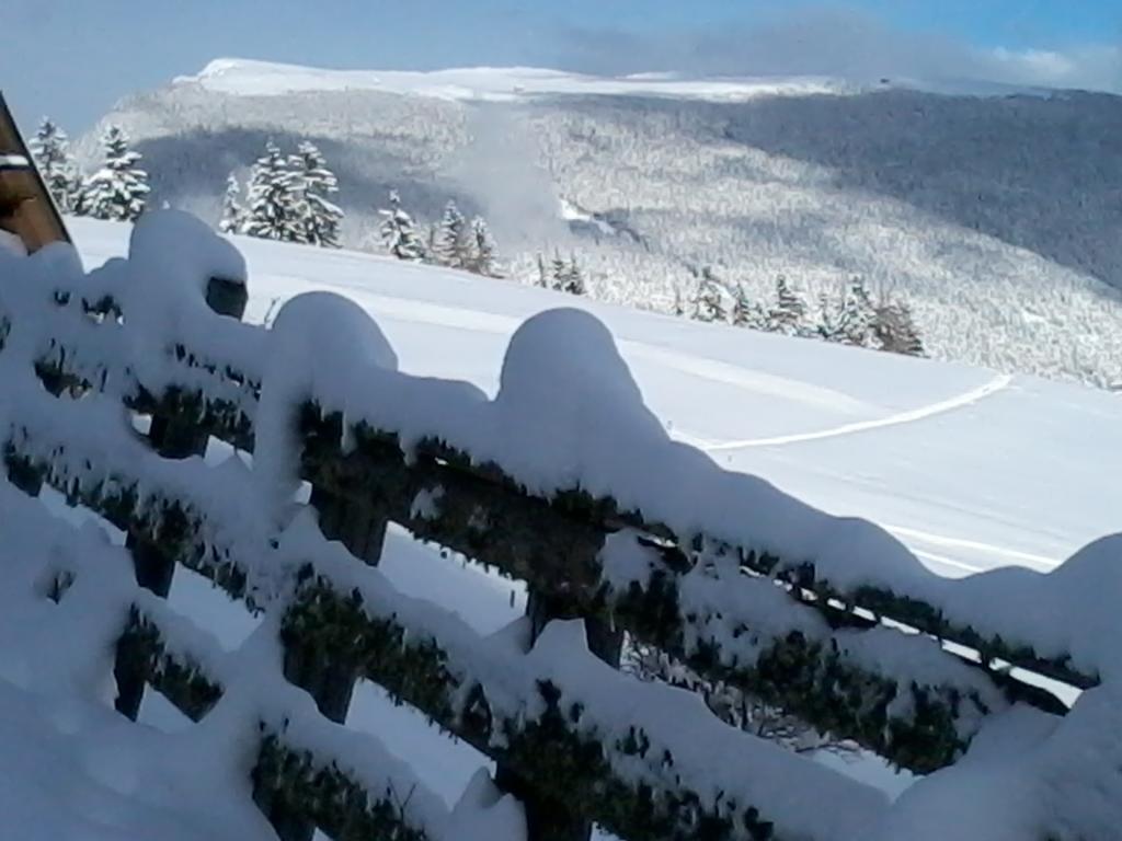 Garni Kostner Hotell Ortisei Exteriör bild